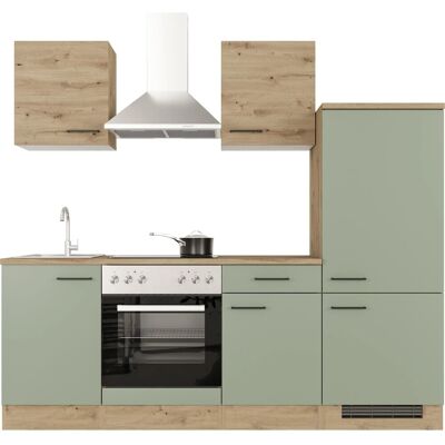 FlexWell Exclusiv Flex-Well Exclusiv Küche 1706-002 Cara 220 cm Schilfgrün matt - Artisan Eiche FlexWell Exclusiv Flex-Well Exclusiv Küche 1706-002 Cara 220 cm Schilfgrün matt - Artisan Eiche