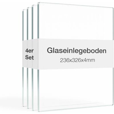 KMöbel K-Möbel Glasboden-Erweiterungsset für 1-Türige Standvitrine 4er Set ESG-Glas 32,6 x 23,6 cm inkl. Bodenträger KMöbel K-Möbel Glasboden-Erweiterungsset für 1-Türige Standvitrine 4er Set ESG-Glas 32,6 x 23,6 cm inkl. Bodenträger
