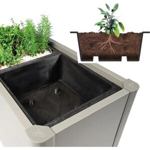 Biohort Pflanzeinsatz Pflanzbeet Belvedere 2 Stück Biohort Pflanzeinsatz Pflanzbeet Belvedere 2 Stück