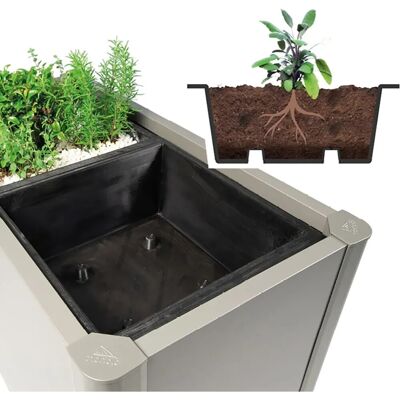 BIOHORT Belvedere Pflanzeinsatz - Stahl, 45L, 50x50x18cm BIOHORT Belvedere Pflanzeinsatz - Stahl, 45L, 50x50x18cm