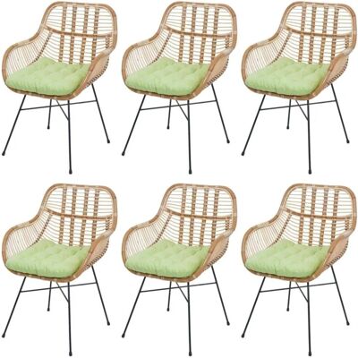 MCW Esszimmerstuhl P17 6er-Set Polster Grün MCW Esszimmerstuhl P17 6er-Set Polster Grün