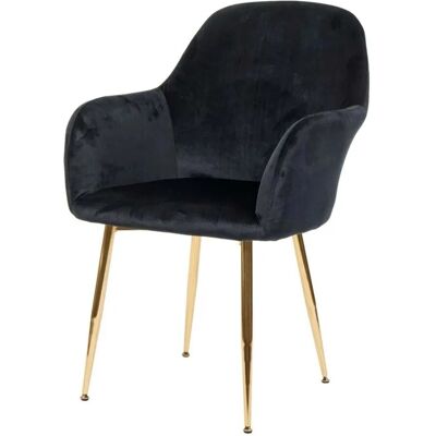 MCW Esszimmerstuhl F18 Samt Schwarz Goldene Beine MCW Esszimmerstuhl F18 Samt Schwarz Goldene Beine