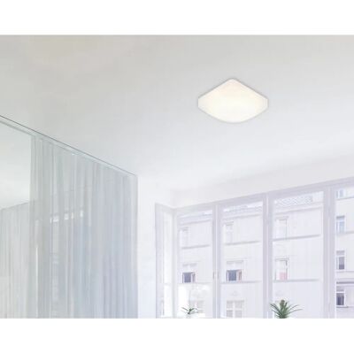 Näve LED-Deckenleuchte Sensitive Weiß Näve LED-Deckenleuchte Sensitive Weiß