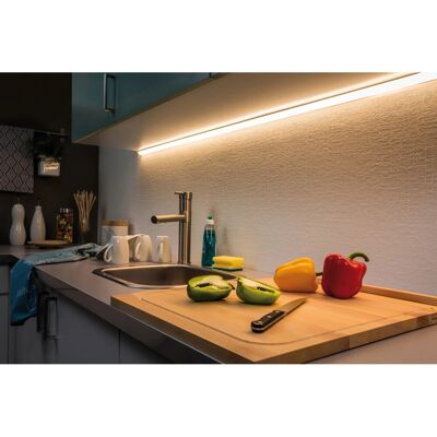 Paulmann LED-Strip 500 MaxLED 1 m Warmweiß Metall Paulmann LED-Strip 500 MaxLED 1 m Warmweiß Metall