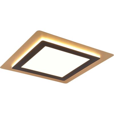 Trio LED Deckenleuchte Morgan 46 W Schwarz-Gold 4,2 x 45 x 45 cm Trio LED Deckenleuchte Morgan 46 W Schwarz-Gold 4,2 x 45 x 45 cm