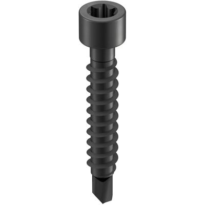 GS Terrasen Montagesysteme GS Terrassen Bohrschraube für Dielenclips 4,2 mm x 28 mm Schwarz 100 Stück GS Terrasen Montagesysteme GS Terrassen Bohrschraube für Dielenclips 4,2 mm x 28 mm Schwarz 100 Stück