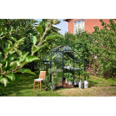 Halls Qube Gewächshaus 6X8 - Schwarz - 3mm Sicherheitsglas - Gewächshaus Halls Qube Gewächshaus 6X8 - Schwarz - 3mm Sicherheitsglas - Gewächshaus