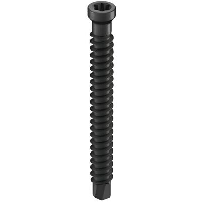 GS Terrasen Montagesysteme GS Terrassen Bohrschraube für Dielenclips 4,2 mm x 39 mm Schwarz 100 Stück GS Terrasen Montagesysteme GS Terrassen Bohrschraube für Dielenclips 4,2 mm x 39 mm Schwarz 100 Stück
