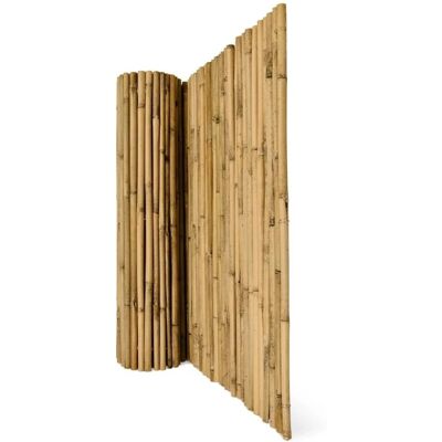 Sol Royal SolVision B38 Sichtschutzzaun 140x250cm Bambus Sol Royal SolVision B38 Sichtschutzzaun 140x250cm Bambus