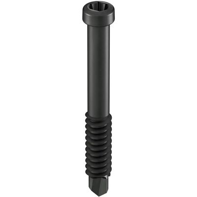 GS Terrasen Montagesysteme GS Terrassen Bohrschraube für Dielenclips 4,8 mm x 38 mm Schwarz 100 Stück GS Terrasen Montagesysteme GS Terrassen Bohrschraube für Dielenclips 4,8 mm x 38 mm Schwarz 100 Stück