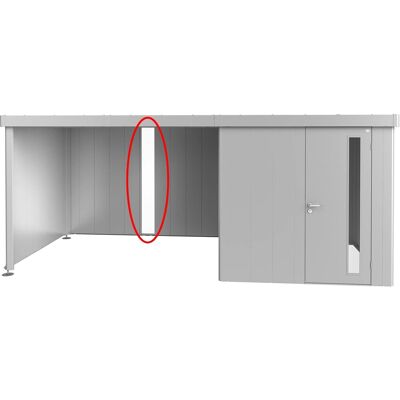 Biohort Lichtpaneel für Seitendach für Gerätehaus Neo Silber-Metallic Biohort Lichtpaneel für Seitendach für Gerätehaus Neo Silber-Metallic