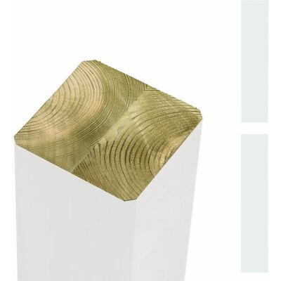 Plus Zaunpfosten Leimholz Kiefer Weiß 9 cm x 9 cm x 298 cm beidseitig gerade Plus Zaunpfosten Leimholz Kiefer Weiß 9 cm x 9 cm x 298 cm beidseitig gerade