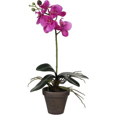Mica Decorations Kunstpflanze Phalaenopsis im Topf Ø 13 cm x 48 cm Violett Mica Decorations Kunstpflanze Phalaenopsis im Topf Ø 13 cm x 48 cm Violett