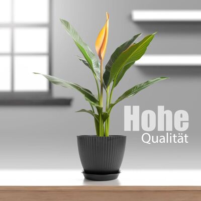 BigDean 8er Blumentopf Set Pflanzentopf mit Untersetzer Anthrazit BigDean 8er Blumentopf Set Pflanzentopf mit Untersetzer Anthrazit