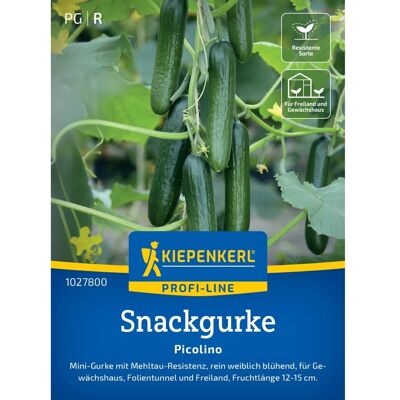 Kiepenkerl - Midios - Schlangengurke - 23-25 cm - Saatgut Kiepenkerl - Midios - Schlangengurke - 23-25 cm - Saatgut