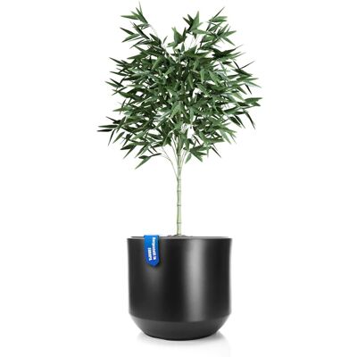 BigDean Blumentopf Style Ø 46 Cm Anthrazit Mit Herausnehmbaren Innentopf Wetterfester Blumenkübel Aus Bruchsicherem Kunststoff Pflanzkübel Groß Außen BigDean Blumentopf Style Ø 46 Cm Anthrazit Mit Herausnehmbaren Innentopf Wetterfester Blumenkübel Aus Bruchsicherem Kunststoff Pflanzkübel Groß Außen