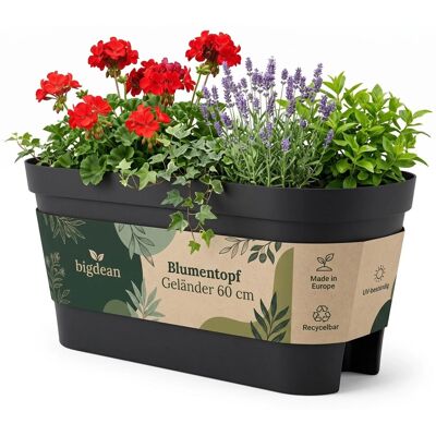 BigDean Blumenkasten Balkongeländer 60Cm Anthrazit Balkonkasten Inklusive Halterung Blumentopf Zum Aufhängen Wasserablauf Gegen BigDean Blumenkasten Balkongeländer 60Cm Anthrazit Balkonkasten Inklusive Halterung Blumentopf Zum Aufhängen Wasserablauf Gegen