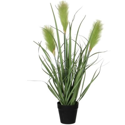 Mica Decorations Kunstpflanze Ried Gras Grün Topf-Ø 10 cm H 53 cm, Ø: 30 cm Mica Decorations Kunstpflanze Ried Gras Grün Topf-Ø 10 cm H 53 cm, Ø: 30 cm