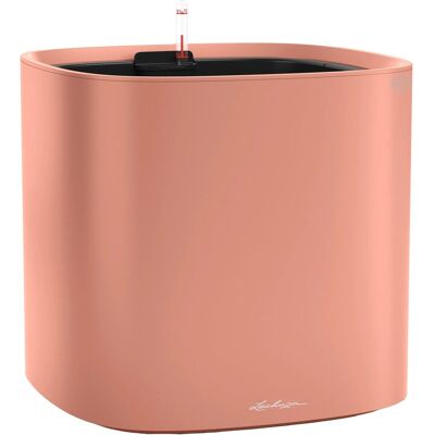 Lechuza® Pflanzgefäß Pila Color Planter 35 cm x 35 cm x 33 cm Korallrot Lechuza® Pflanzgefäß Pila Color Planter 35 cm x 35 cm x 33 cm Korallrot