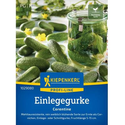 Kiepenkerl Gurken (Einlegegurken) Corentine Kiepenkerl Gurken (Einlegegurken) Corentine