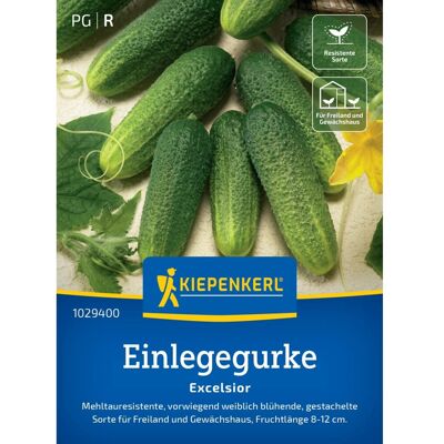 Kiepenkerl Einlegegurken Excelsior Kiepenkerl Einlegegurken Excelsior
