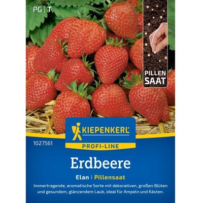 Kiepenkerl Saatgut Erdbeere Elan, F1, Pillensaat Kiepenkerl Saatgut Erdbeere Elan, F1, Pillensaat