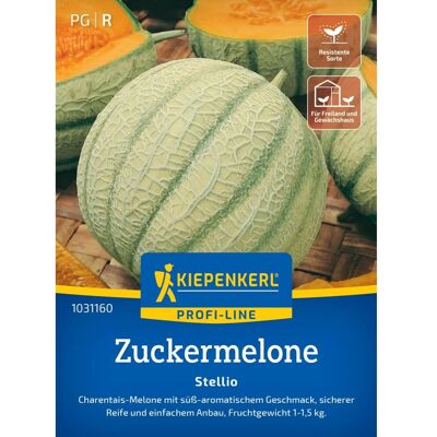 Kiepenkerl Zuckermelone Stellio F1-Hybride Kiepenkerl Zuckermelone Stellio F1-Hybride