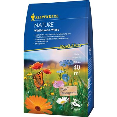 Kiepenkerl Wildblumenwiese - Bunte Samenmischung für Artenvielfalt Kiepenkerl Wildblumenwiese - Bunte Samenmischung für Artenvielfalt