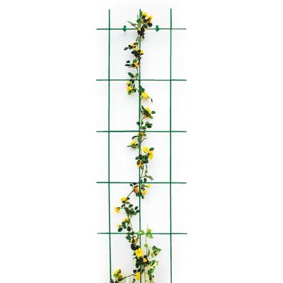 bellissa Extra starkes Spalier 3-strebig, Grün, L 45 x H 150 cm, Ø 8 mm bellissa Extra starkes Spalier 3-strebig, Grün, L 45 x H 150 cm, Ø 8 mm