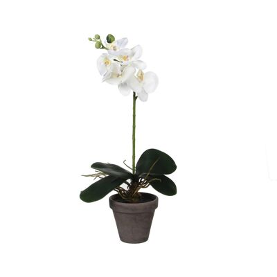 MICA Künstliche Orchidee - 48cm Weiß - Topf ø 11,5cm - Kunstpflanze MICA Künstliche Orchidee - 48cm Weiß - Topf ø 11,5cm - Kunstpflanze