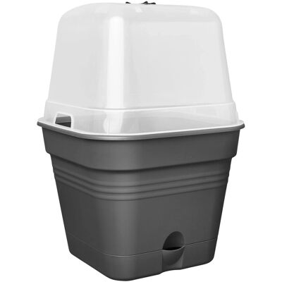 Elho Anzuchttopf Green Basics All-in-One 24,5 cm x 24,5 cm x 20,7 cm Schwarz Elho Anzuchttopf Green Basics All-in-One 24,5 cm x 24,5 cm x 20,7 cm Schwarz