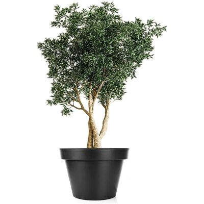 BigDean Blumentopf XXL Durchmesser 60 Cm Classic Anthrazit Mit 360 Grad Rollen Wiederverschließbarer Wasserablauf Wetterfester Kunststoff Pflanzkübel BigDean Blumentopf XXL Durchmesser 60 Cm Classic Anthrazit Mit 360 Grad Rollen Wiederverschließbarer Wasserablauf Wetterfester Kunststoff Pflanzkübel