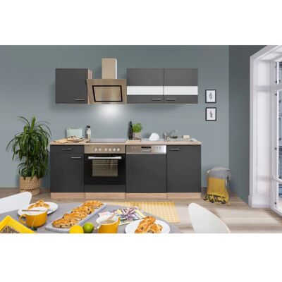 Respekta Economy Küchenzeile KB220ESGSC 220 cm Grau-Eiche Sägerau Glänzend Respekta Economy Küchenzeile KB220ESGSC 220 cm Grau-Eiche Sägerau Glänzend