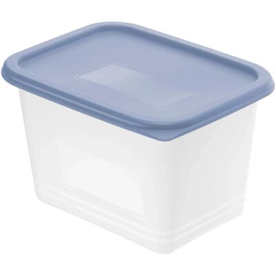 Rotho Gefrierdose-Set Domino 1 l Horizontblau 4-teilig Rotho Gefrierdose-Set Domino 1 l Horizontblau 4-teilig