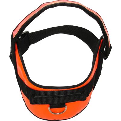 Heim Hunde-Spezialgeschirr Profi Größe S Leuchtorange Bauchumfang 51 bis 65 cm Heim Hunde-Spezialgeschirr Profi Größe S Leuchtorange Bauchumfang 51 bis 65 cm