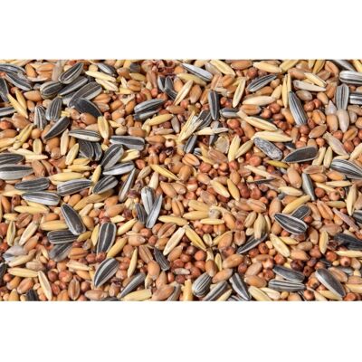 DOBAR - Streufutter gemischt - 20 kg - Vogelfutter DOBAR - Streufutter gemischt - 20 kg - Vogelfutter