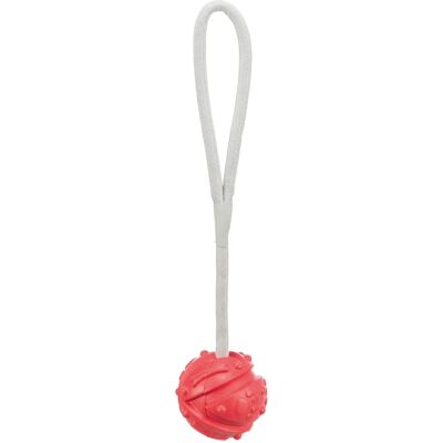 Jollypaw Aqua Toy Ball am Seil Naturgummi Ø 7 cm x 35 cm Rot Jollypaw Aqua Toy Ball am Seil Naturgummi Ø 7 cm x 35 cm Rot