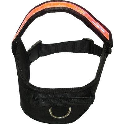 Heim Hunde-Spezialgeschirr Profi Größe S Schwarz Bauchumfang 51 cm bis 65 cm Heim Hunde-Spezialgeschirr Profi Größe S Schwarz Bauchumfang 51 cm bis 65 cm