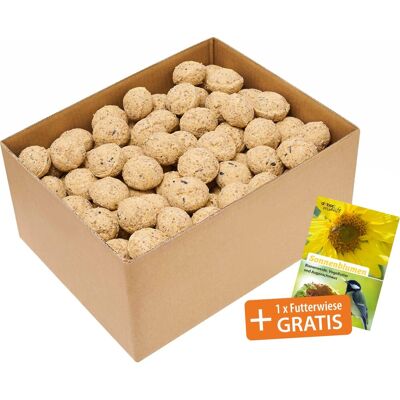 Dobar Meisenknödel (200 Stück) Fettfutter für Wildvögel ohne Netz inkl. Samenmischung Dobar Meisenknödel (200 Stück) Fettfutter für Wildvögel ohne Netz inkl. Samenmischung