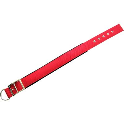 Heim Hundehalsband mit Neoprenfutter Breite 38 mm Länge 50 cm Rot Heim Hundehalsband mit Neoprenfutter Breite 38 mm Länge 50 cm Rot