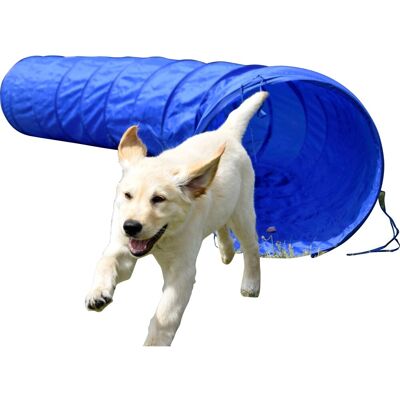 DOBAR Agility-Tunnel LxØ: 500x60 cm, zusammenfaltbar blau Hundespielzeug DOBAR Agility-Tunnel LxØ: 500x60 cm, zusammenfaltbar blau Hundespielzeug