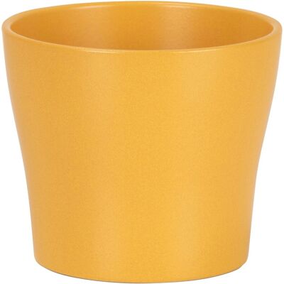 Scheurich Übertopf 808 Ø 17 cm x 15 cm Curcuma Scheurich Übertopf 808 Ø 17 cm x 15 cm Curcuma