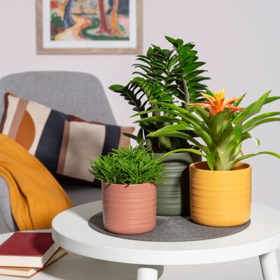 Scheurich Übertopf Cottage 850 Ø 20 cm x 17,9 cm Gebranntes Lehmorange Scheurich Übertopf Cottage 850 Ø 20 cm x 17,9 cm Gebranntes Lehmorange