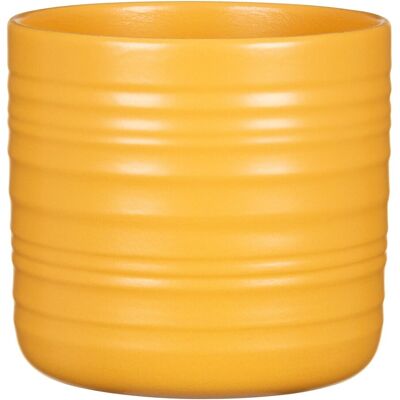 Scheurich Übertopf Cottage 850 Ø 17 cm x 15,3 cm Curcuma Scheurich Übertopf Cottage 850 Ø 17 cm x 15,3 cm Curcuma