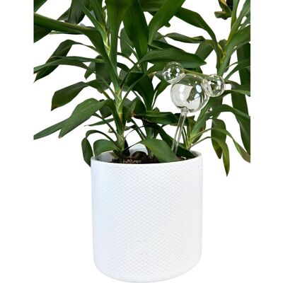Disney Pflanzenreservoir Glas Mickey Ohren 25 cm Disney Pflanzenreservoir Glas Mickey Ohren 25 cm