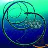Organic Soup - Myth of Organic Soup - Preis vom 24.03.2023 06:08:49 h