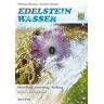 Michael Gienger - Edelsteinwasser: Herstellung - Anwendung - Wirkung - Preis vom 25.04.2024 05:08:43 h