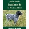 Jürgen Schulte - Jagdhunde in Wort und Bild - Preis vom 05.05.2024 04:53:23 h