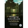 Wolfgang Schivelbusch - Lichtblicke: Zur Geschichte der künstlichen Helligkeit im 19. Jahrhundert - Preis vom 02.05.2024 04:56:15 h