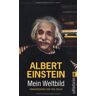 Albert Einstein - Mein Weltbild - Preis vom 29.04.2024 04:59:55 h